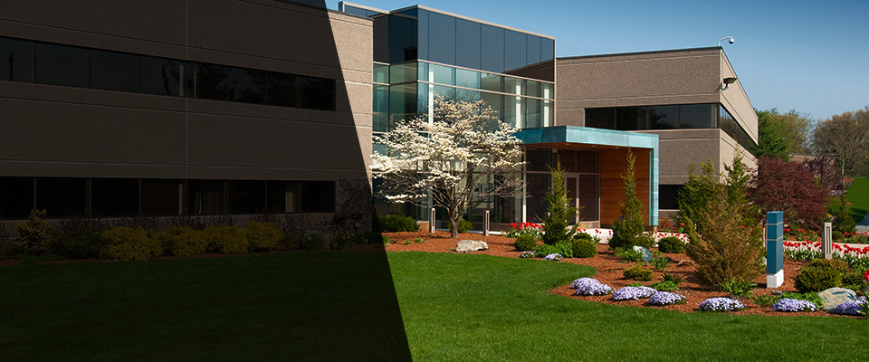 Willis Landscapers
