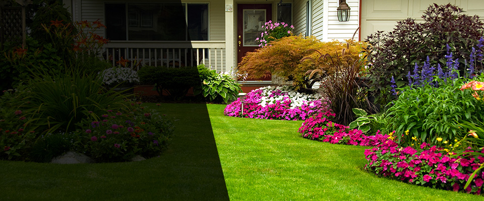 Willis Landscapers