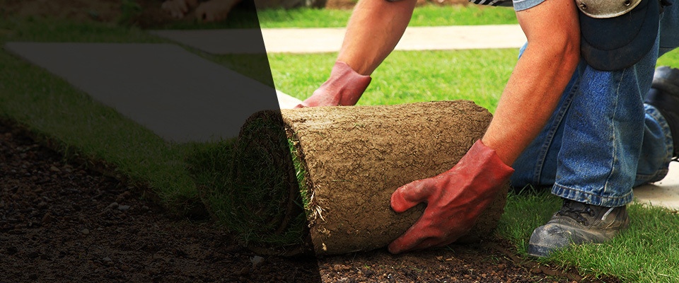 Willis Landscapers